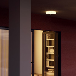 LED stropní svítidlo venkovní Kodiak